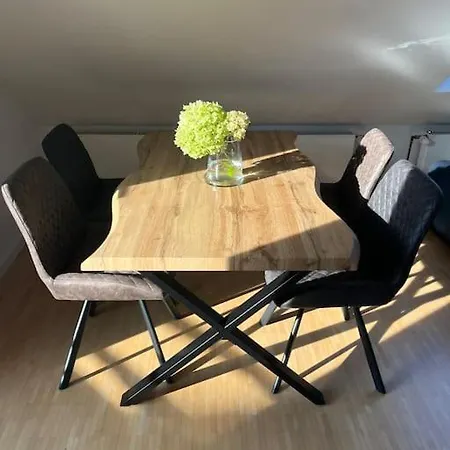 Apartment Schicke Helle Galeriewohnung Obernburg am Main